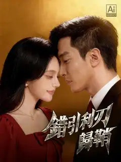 錯引利刃歸鞘
