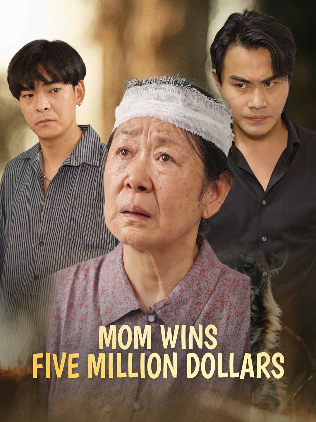 Mom Wins Five Million Dollars cover art