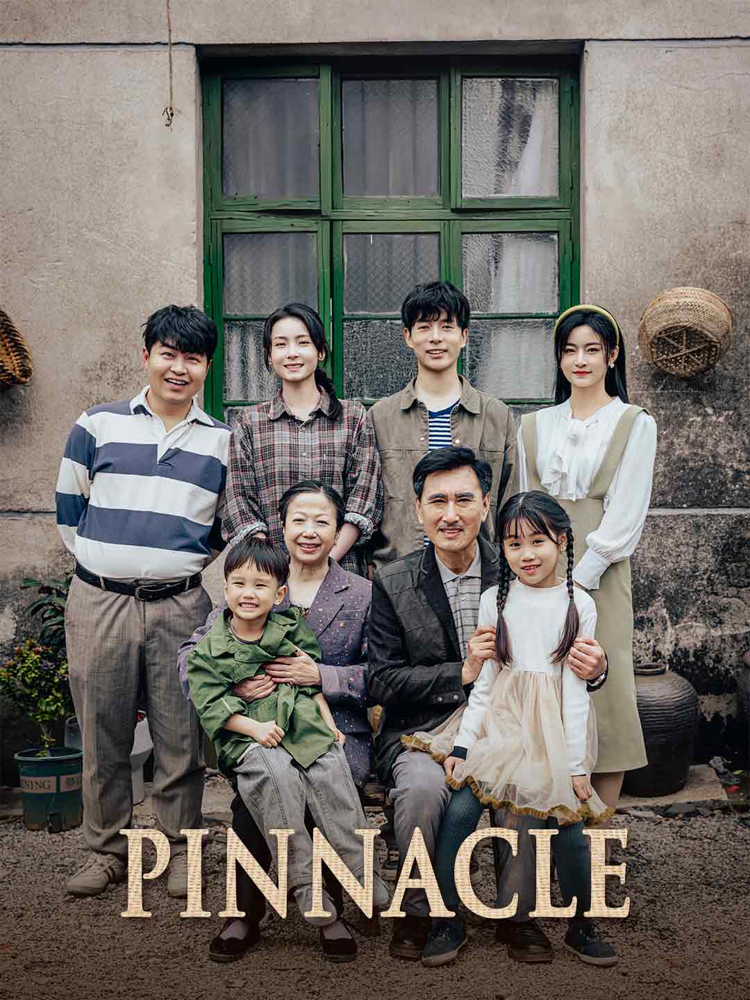 Pinnacle cover art