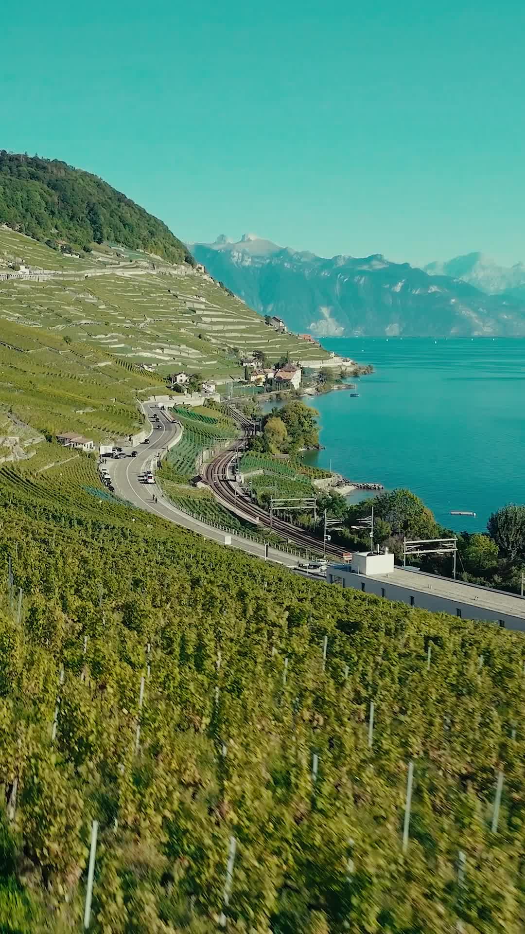 Bölüm 18