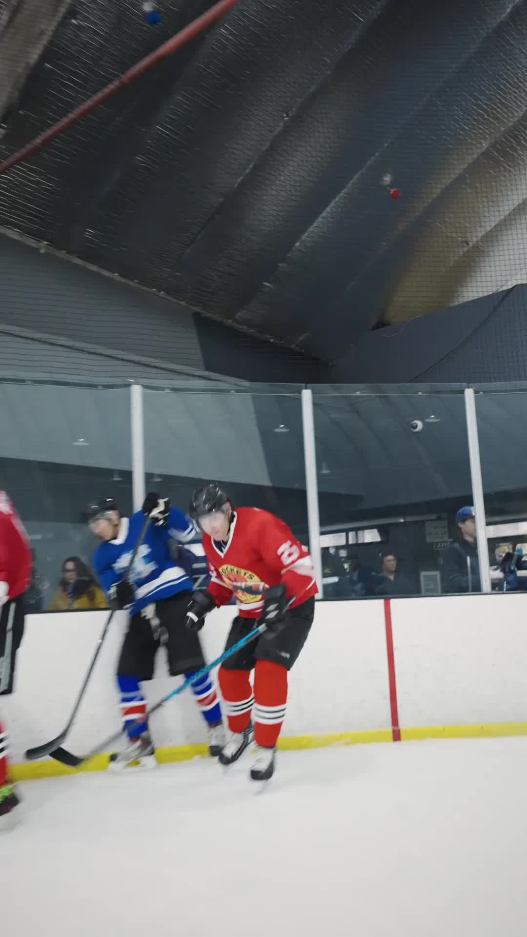 Pucked and Pregnant