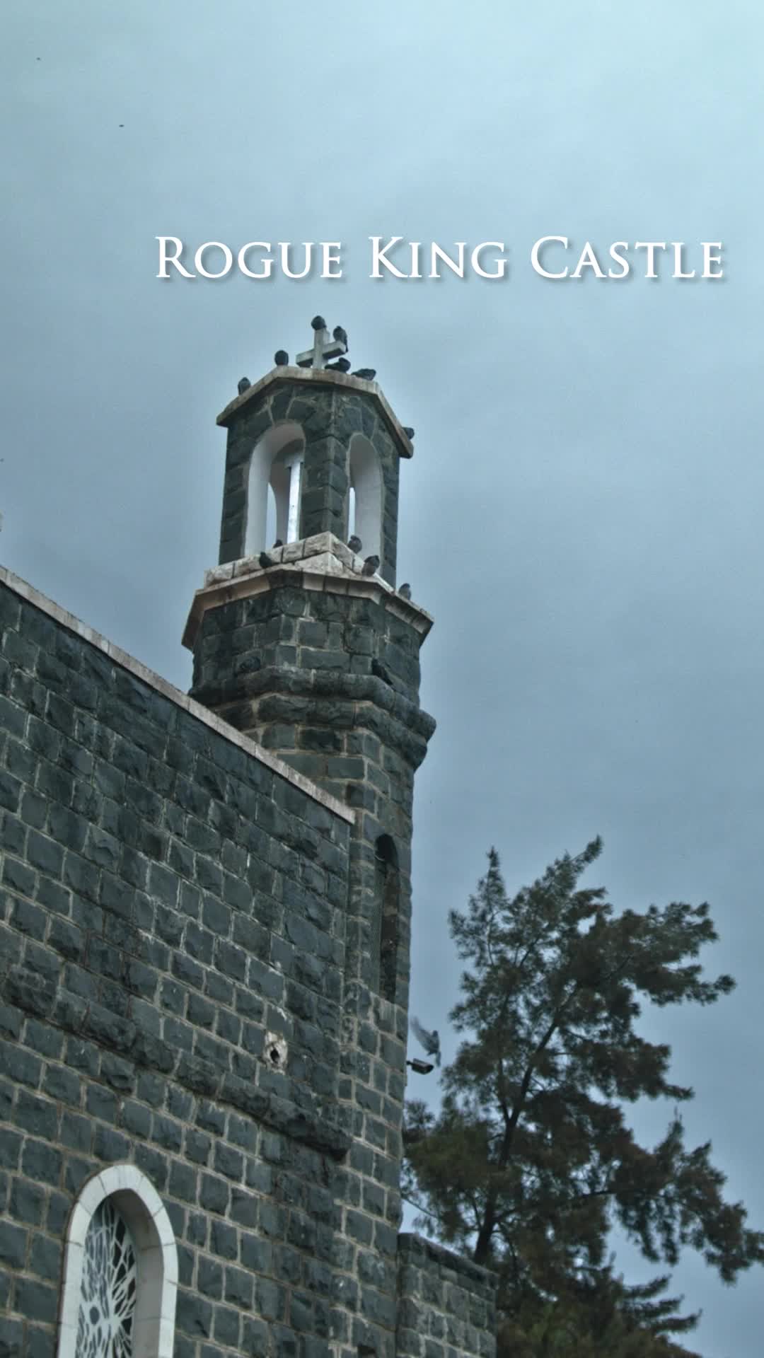 Bölüm 4