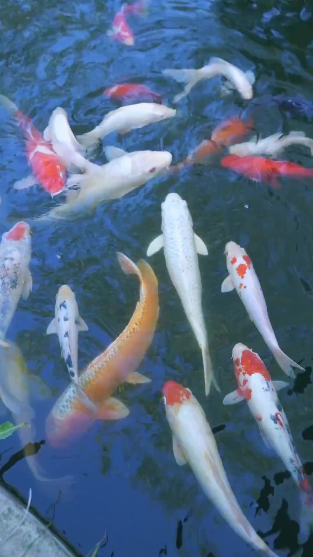 Bölüm 20