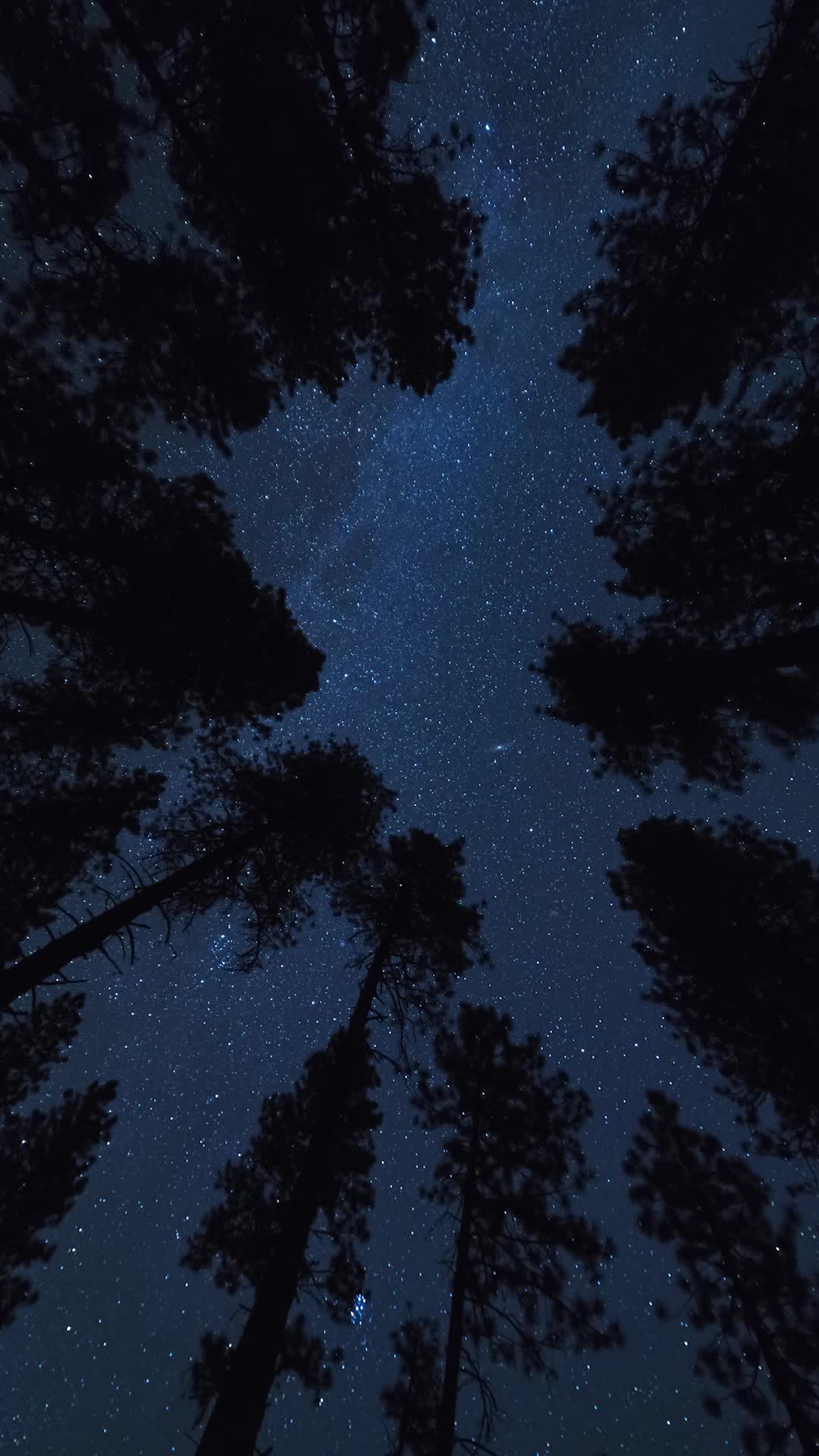 Bölüm 1