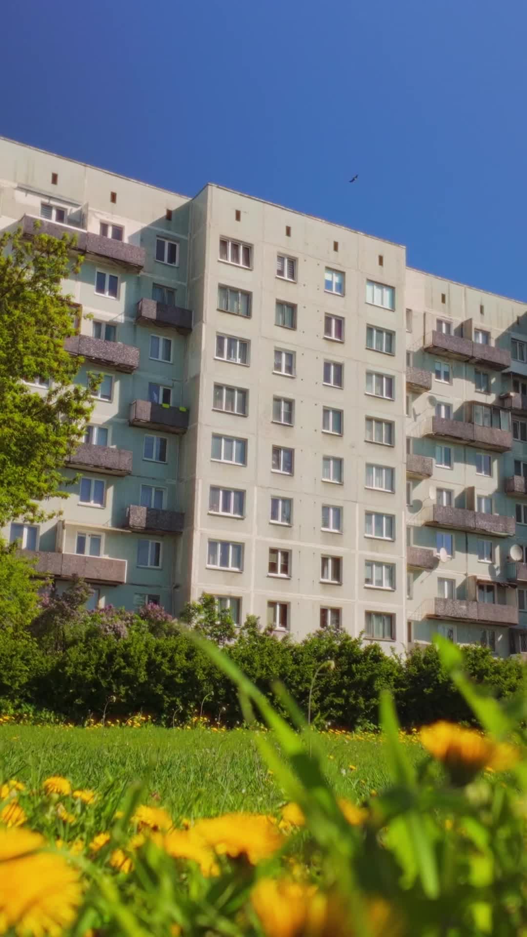 Bölüm 48
