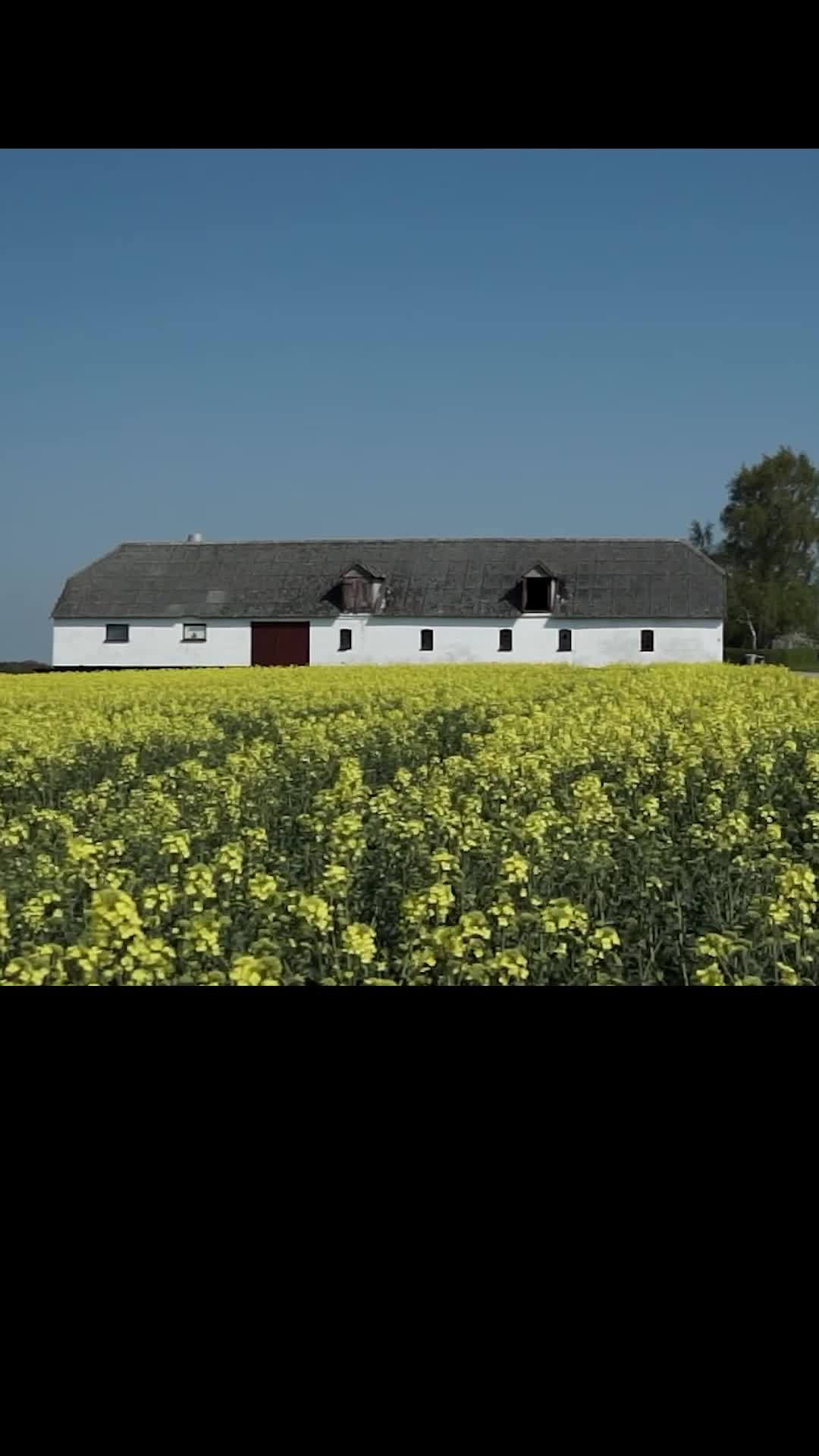 Bölüm 53