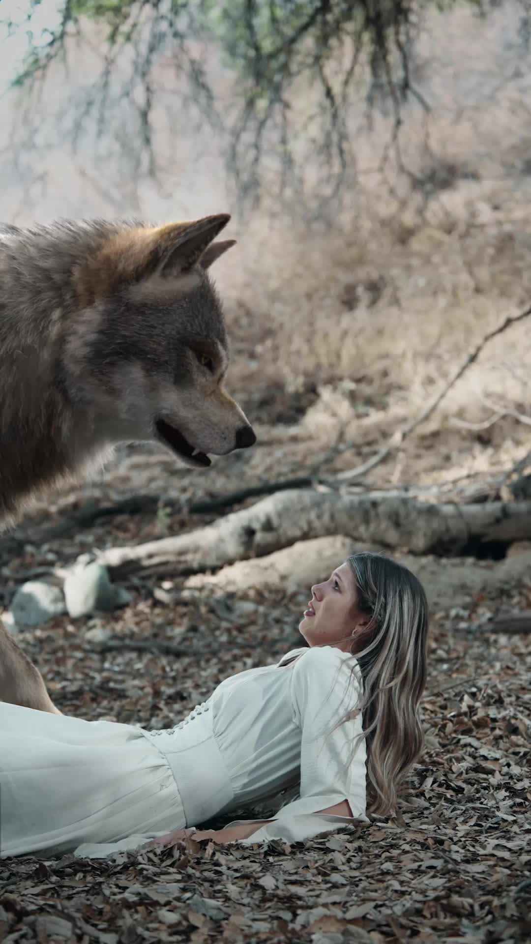 Bound to the Rebel Wolf