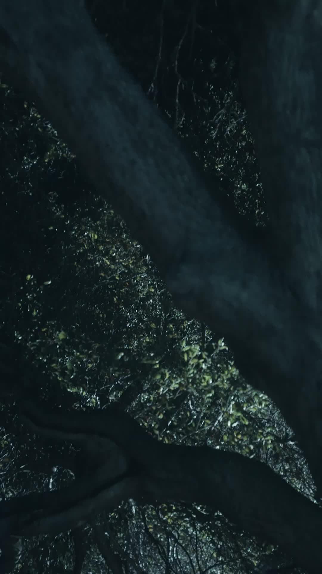 Episode 27
