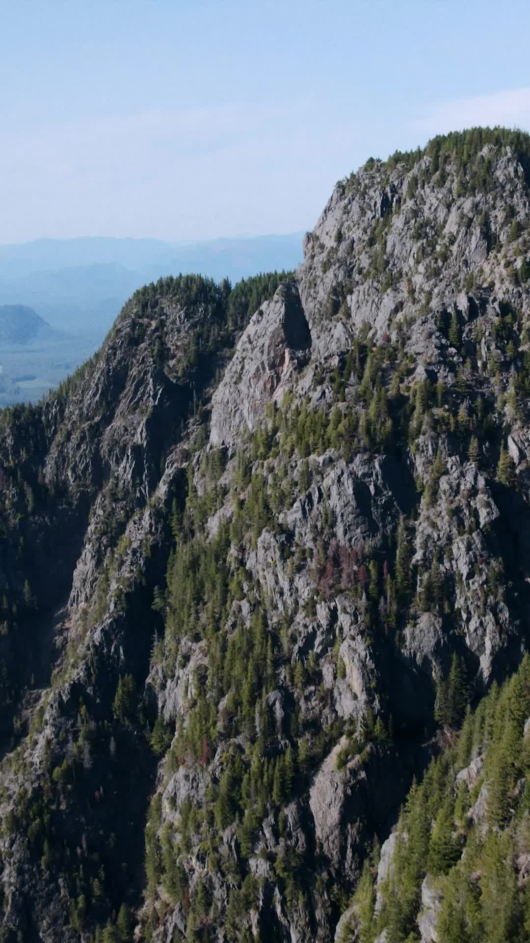 Episode 36