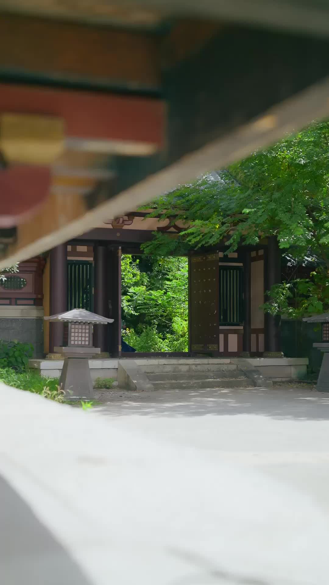 Episode 30