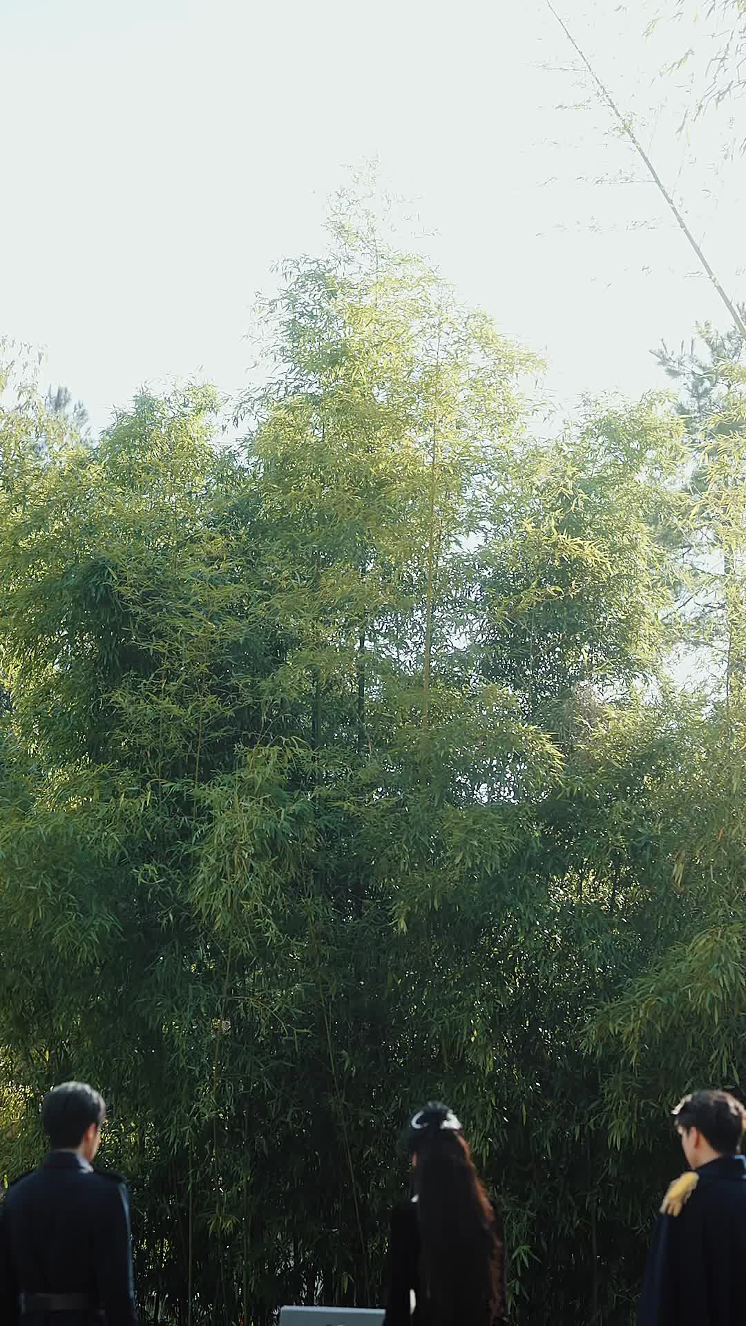 Bölüm 55