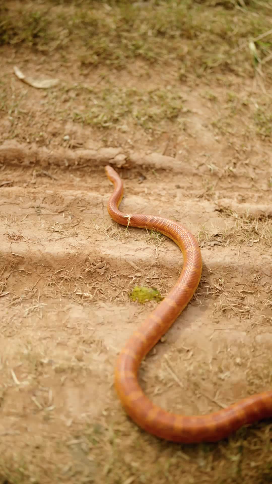 Bölüm 1