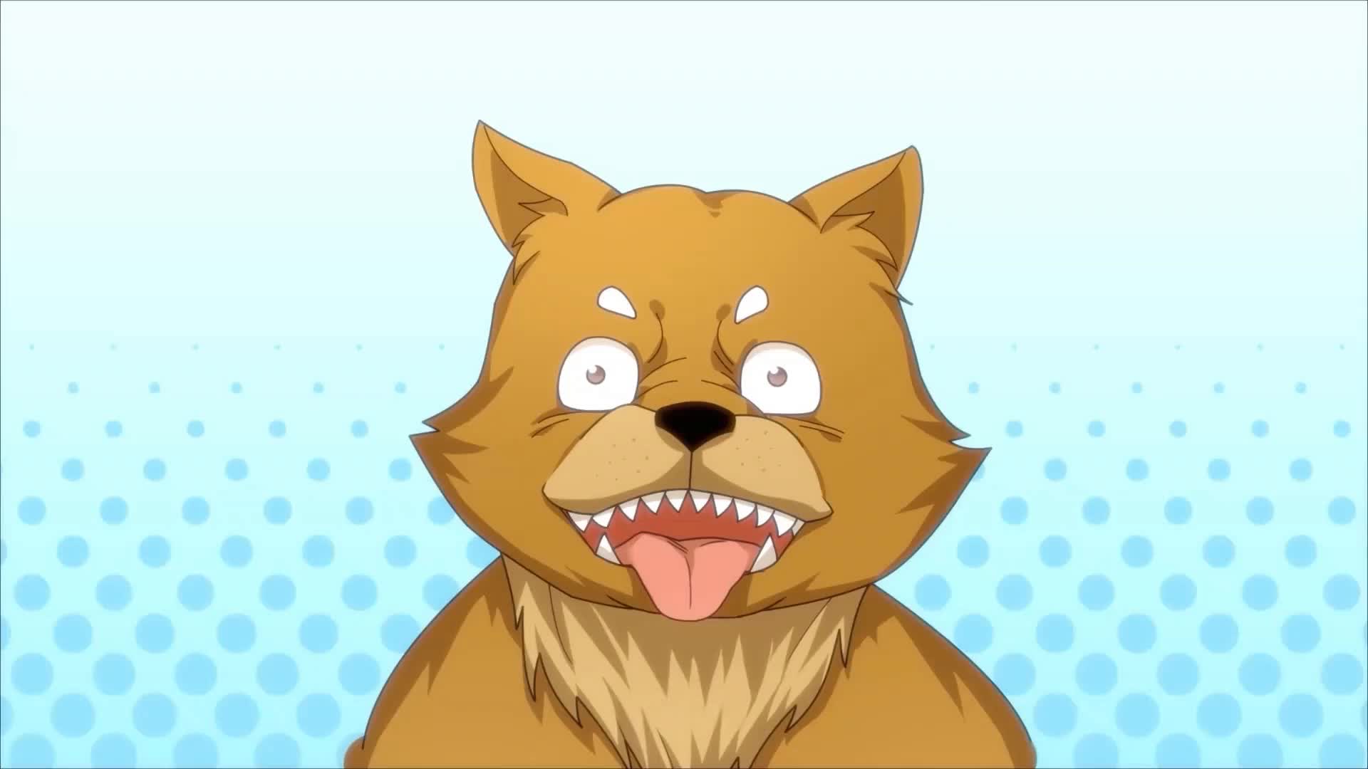 Bölüm 88
