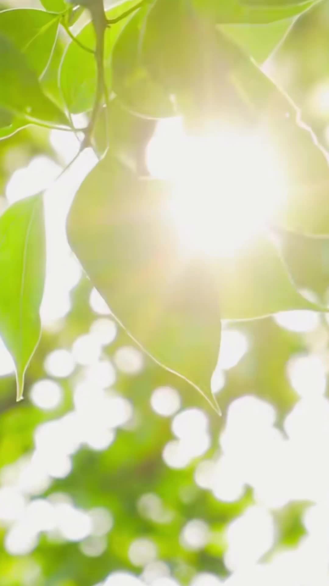 Episode 36