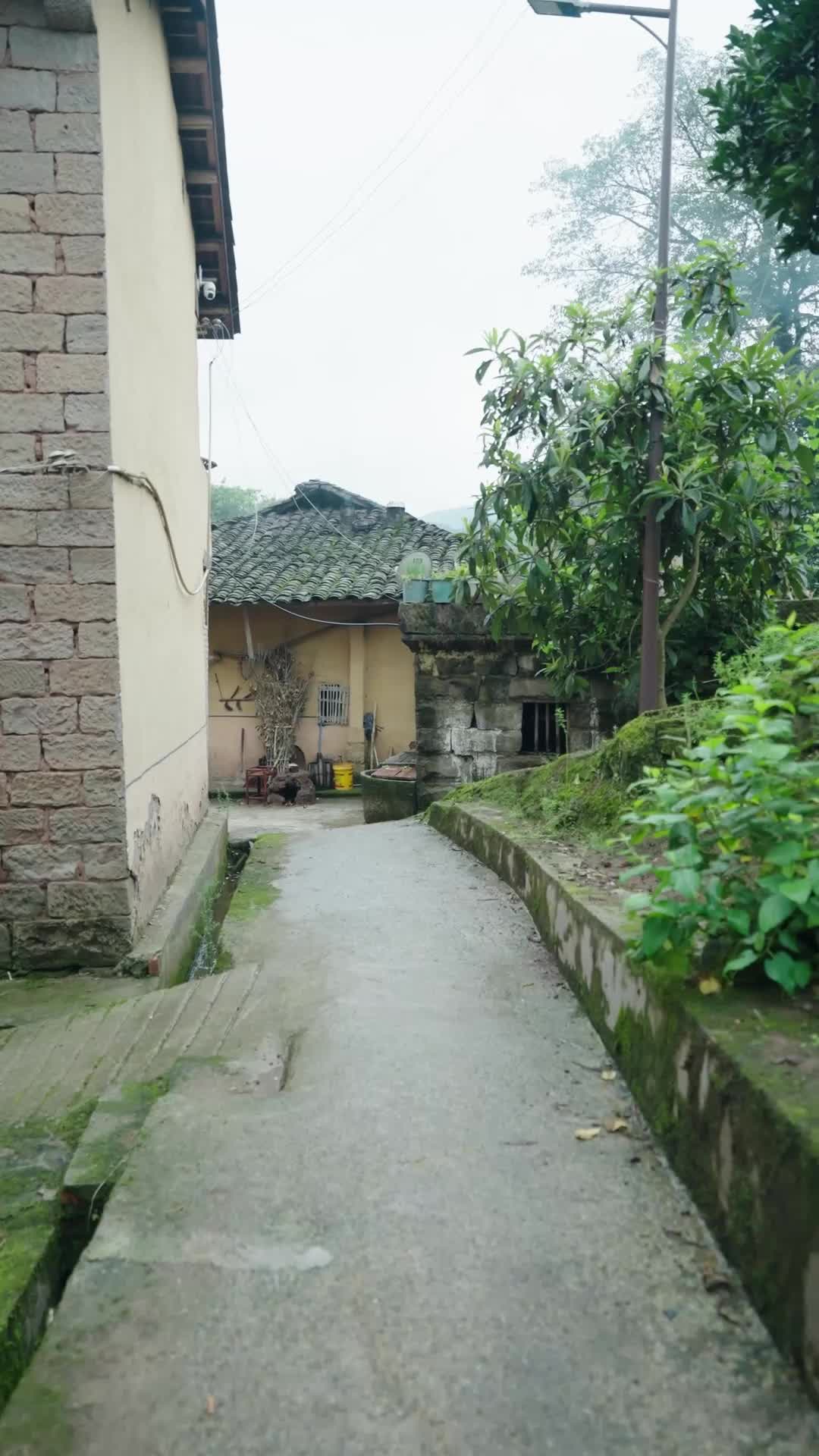 Bölüm 2