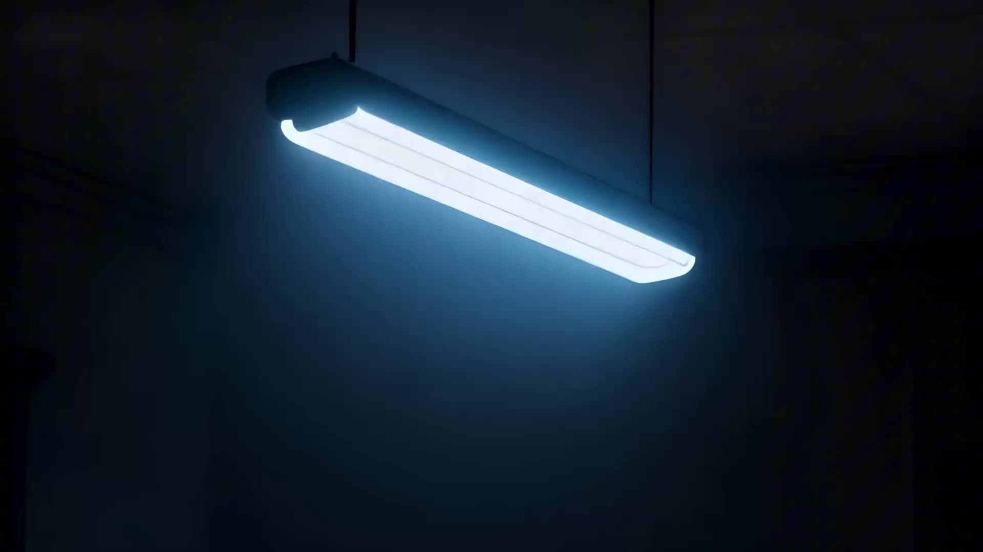 Bölüm 8