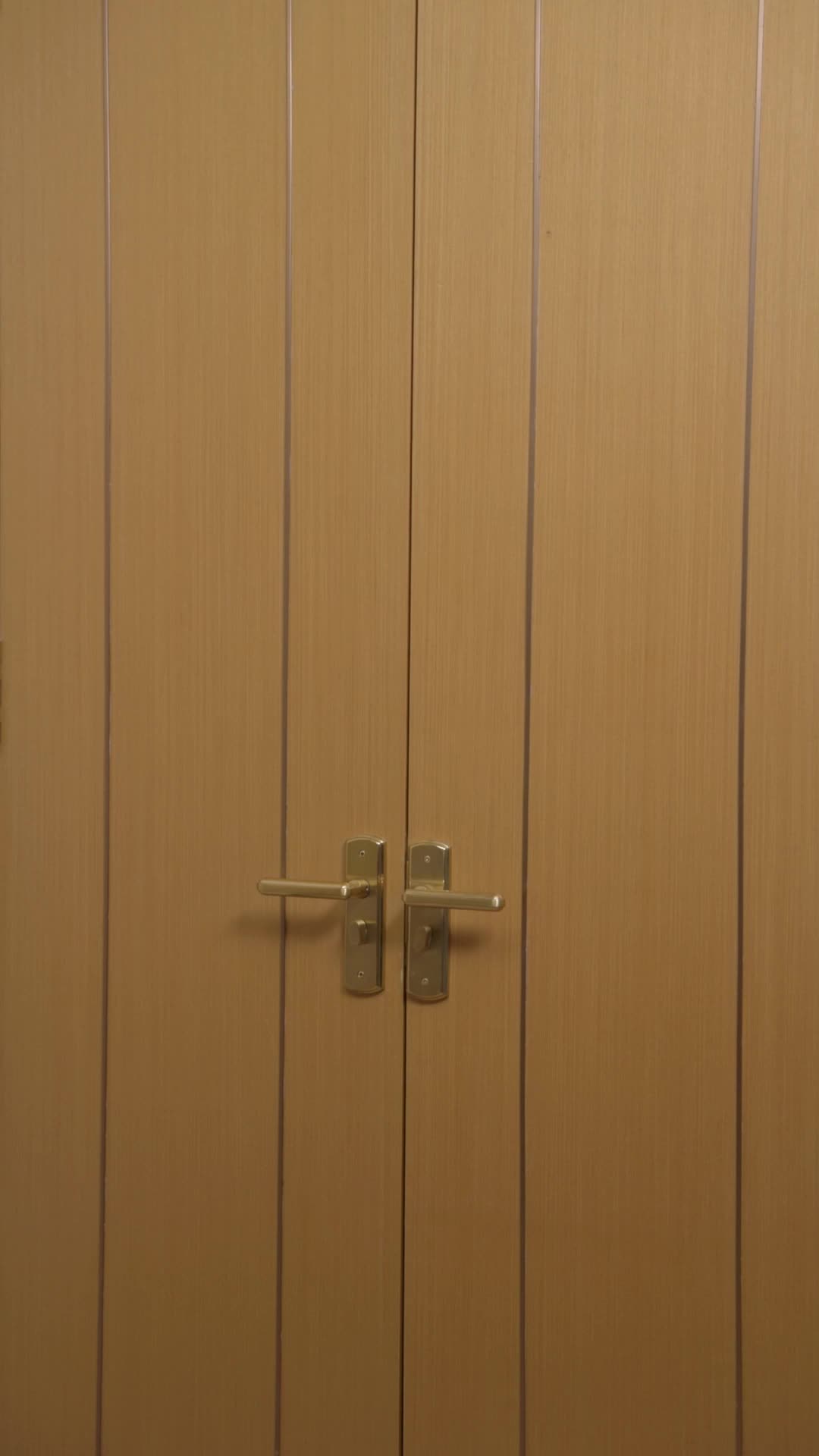 Bölüm 6
