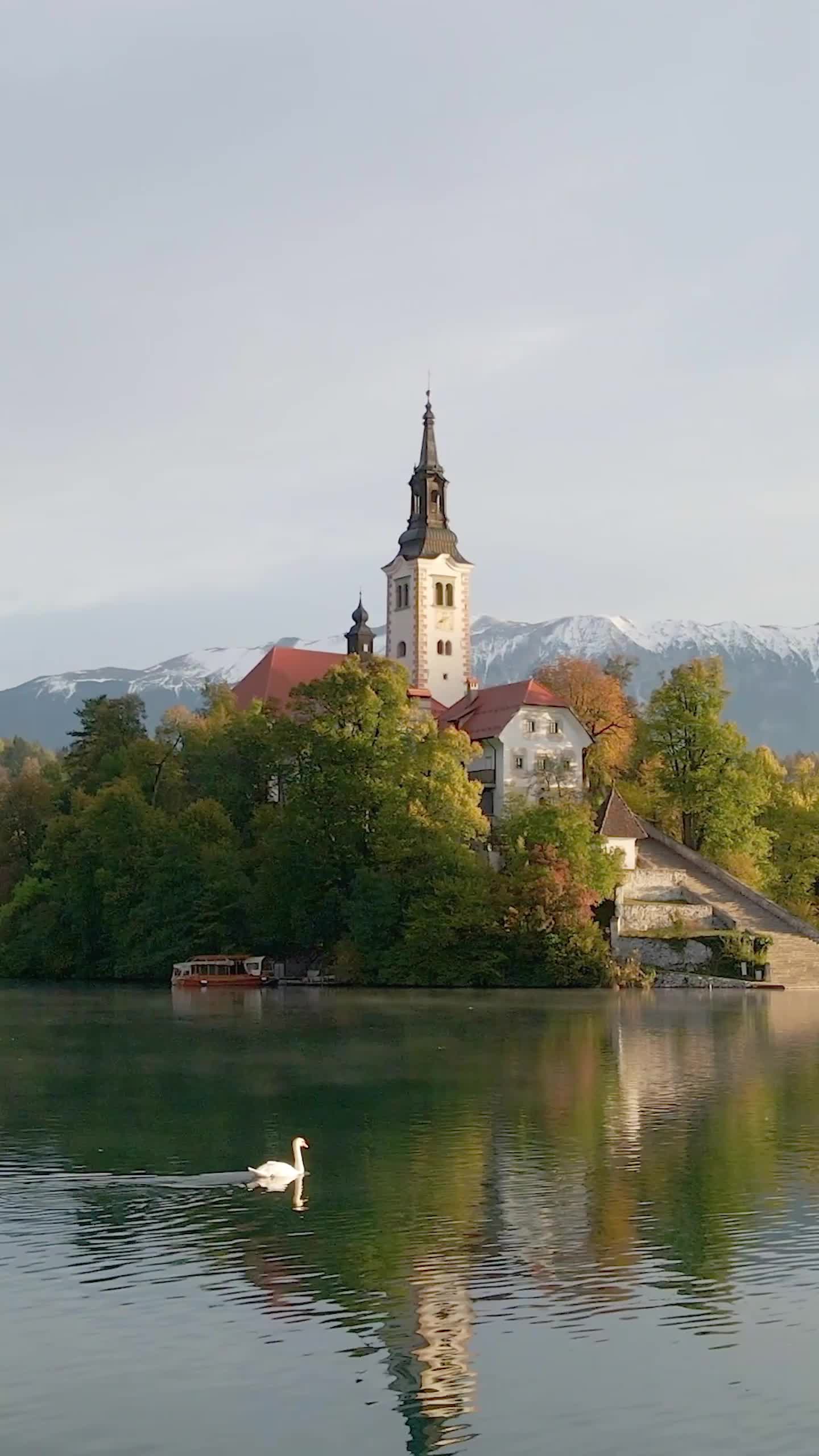 Bölüm 46