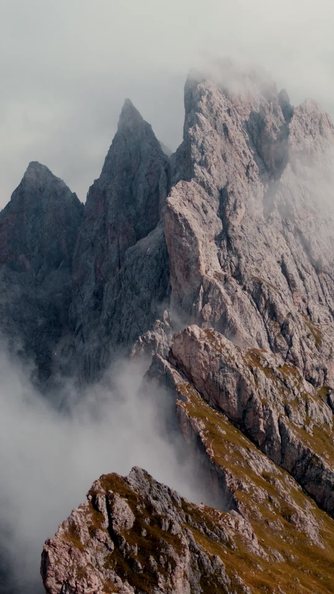 Bölüm 1