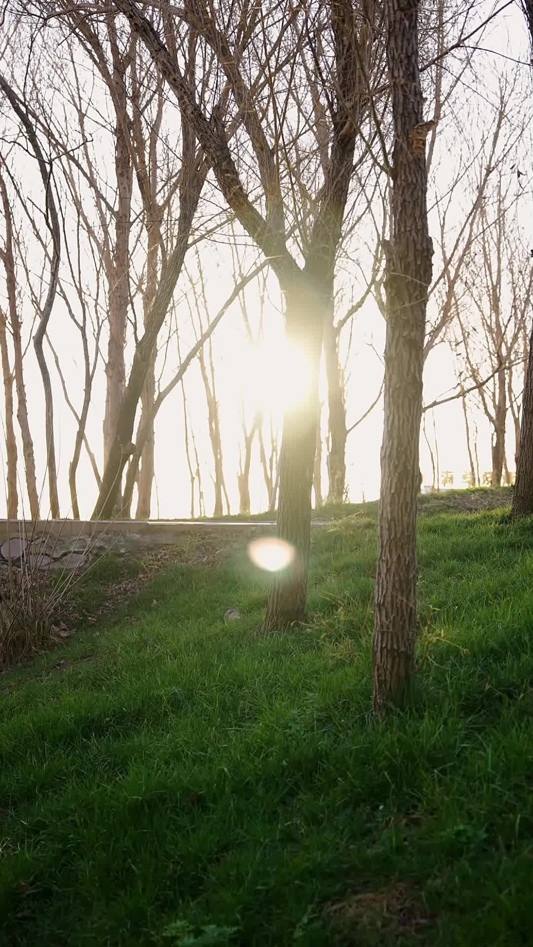 Bölüm 1
